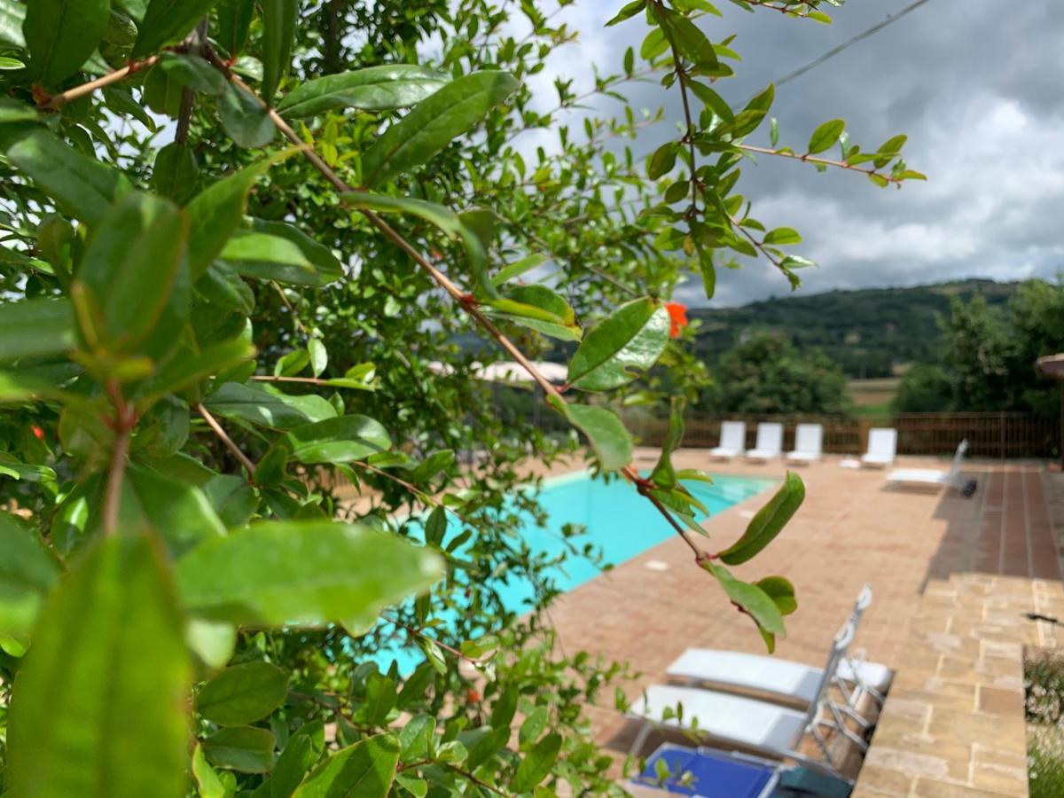 Agriturismo La Palazzetta Di Асизи Екстериор снимка