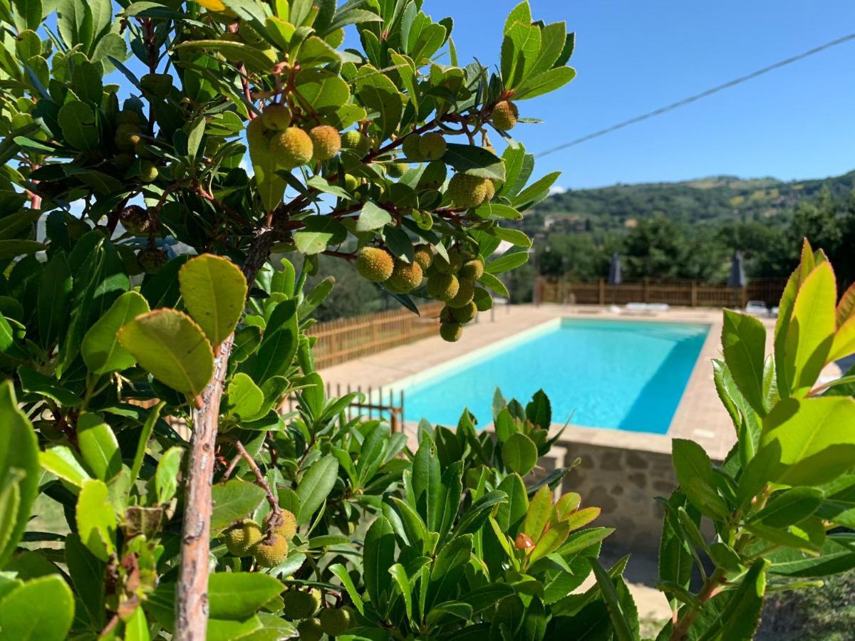 Agriturismo La Palazzetta Di Асизи Екстериор снимка