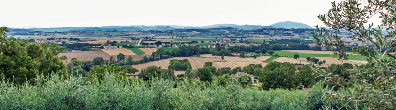 Agriturismo La Palazzetta Di Асизи Екстериор снимка