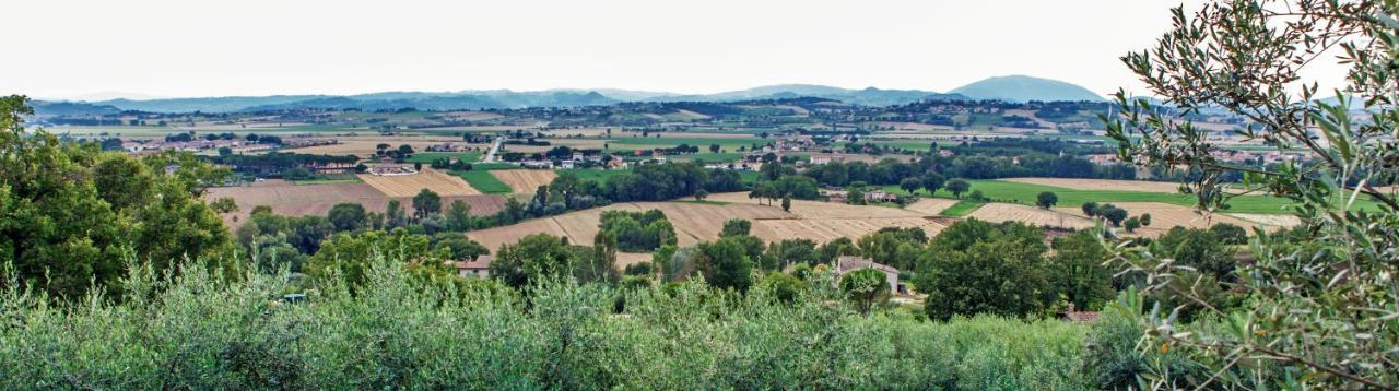 Agriturismo La Palazzetta Di Assisi Villa Екстериор снимка
